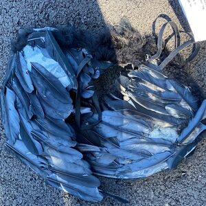 Black Feathered Costume Wings